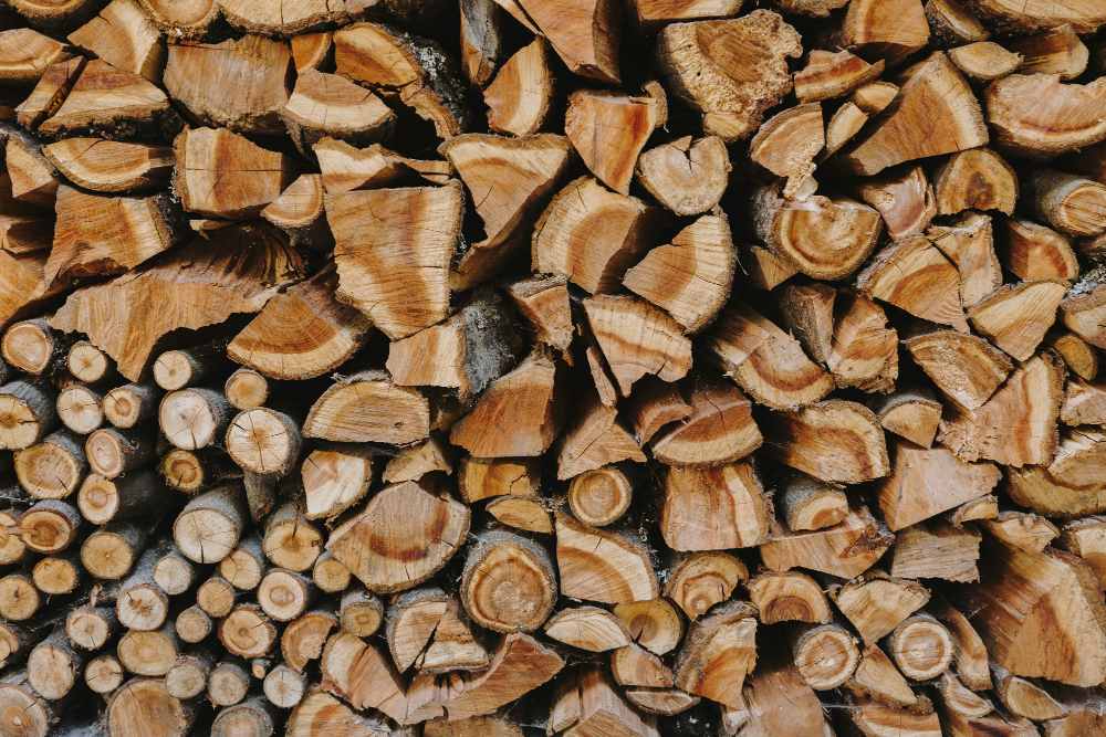 Firewood collection (1 Mar – 30 Jun)